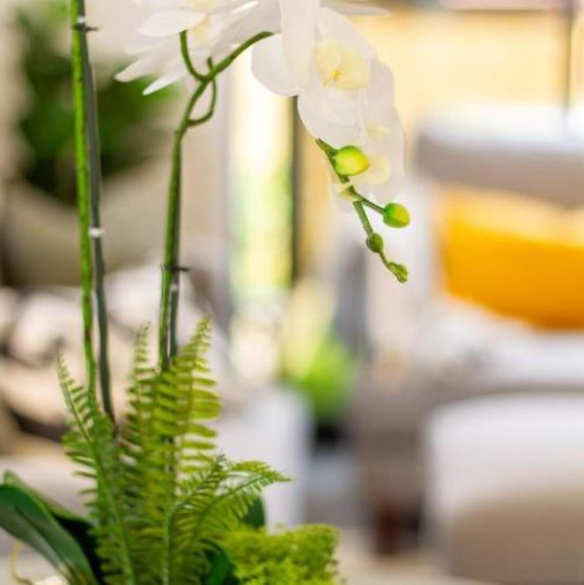 شقة New Sophisticated City Pad كريستتشيرش المظهر الخارجي الصورة